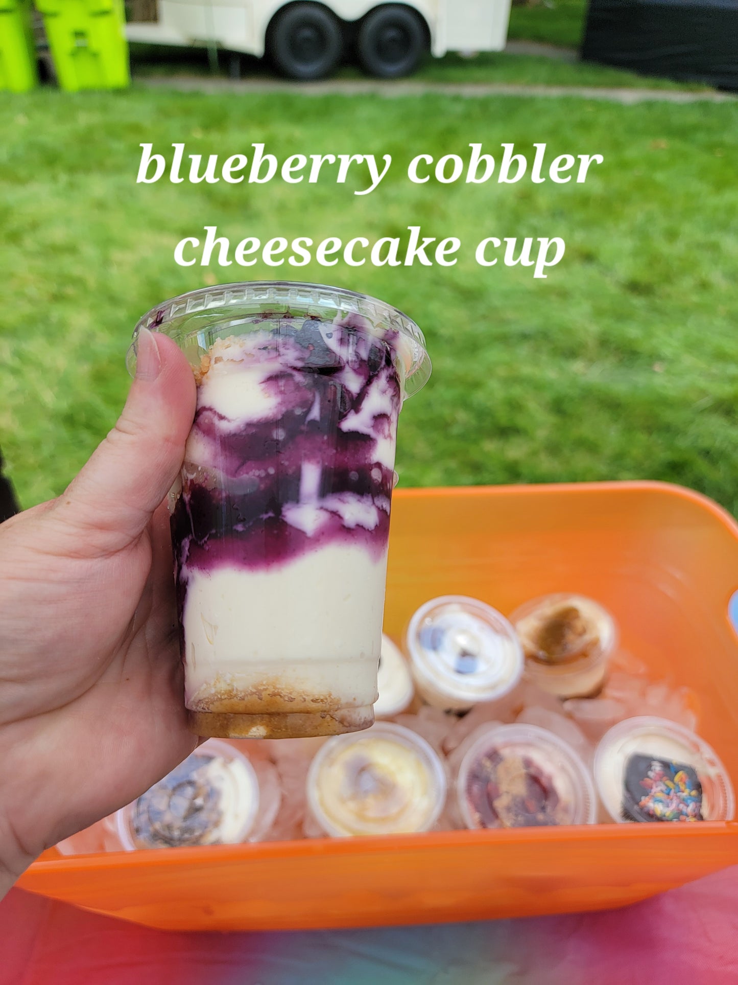 Cheesecake cup